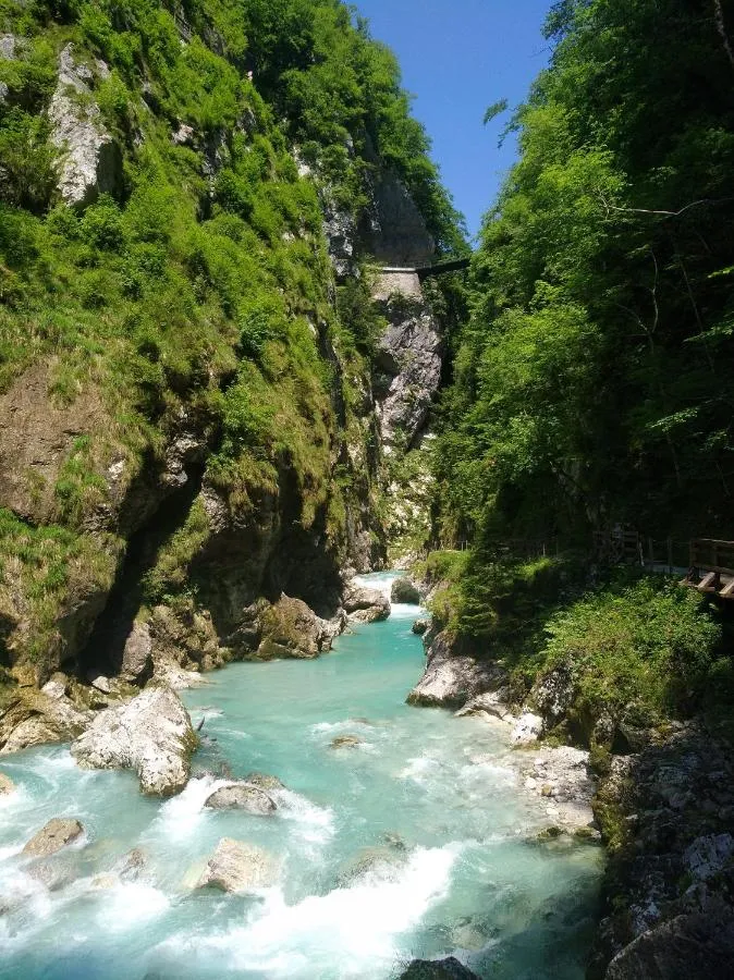 Tolminka v ozki soteski Tolminskih korit