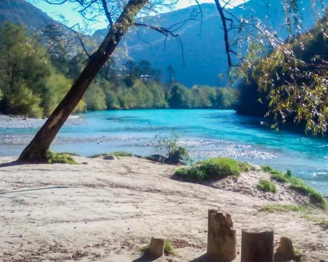Prodnata obala Soče z drevesom